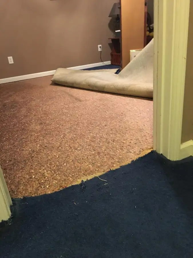 Carpet pad removal revealing water damage during Water Mitigation Services in Calcutta