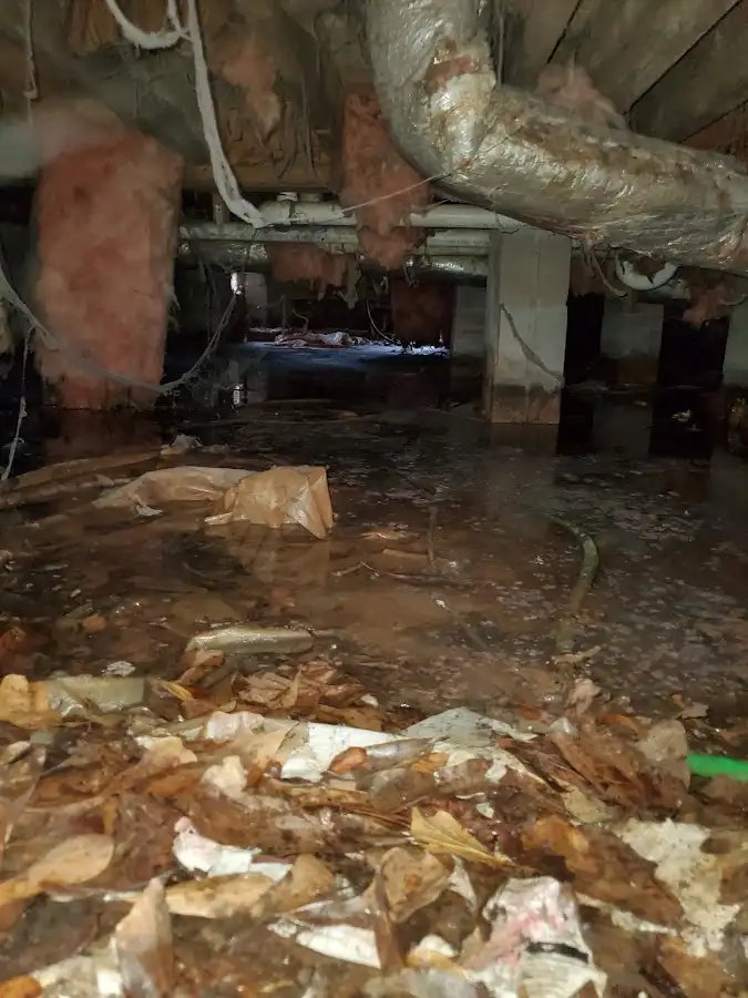 Crawl space flood assessment for Leak Detection & Repair in Calcutta