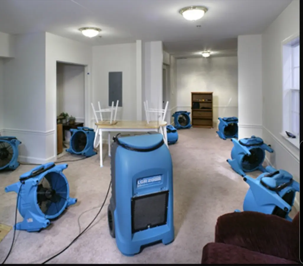 Air movers and dehumidifier setup for Water Extraction & Removal in Calcutta